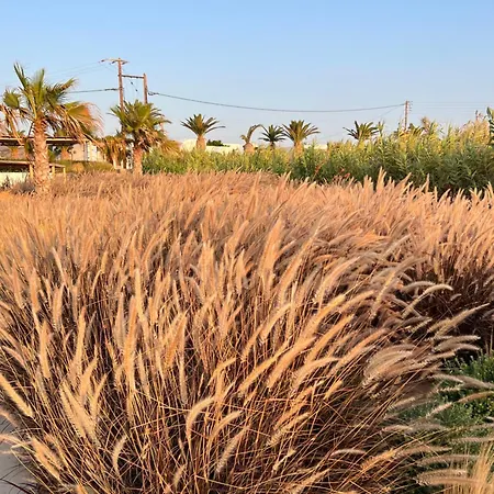 Seesoo Paros Beachfront Luxury Hideaway (Adults Only) Hotel