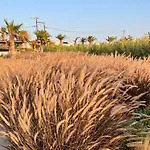 Seesoo Paros Beachfront Luxury Hideaway (adults Only) Hotel