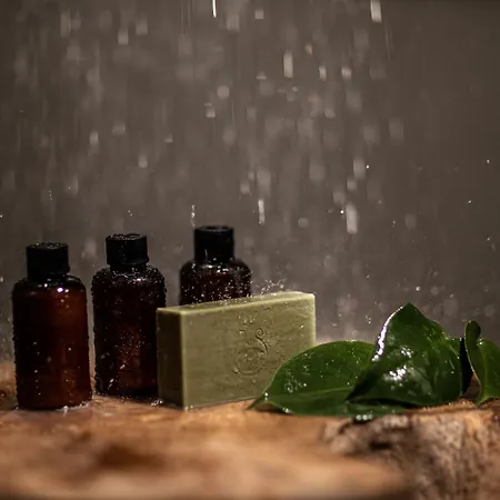 Hotel Seesoo Paros Beachfront Luxury Hideaway (Adults Only)