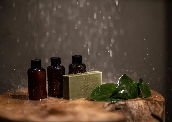 Hotel Seesoo Paros Beachfront Luxury Hideaway (adults Only)